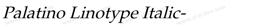Palatino Linotype Italic字体转换